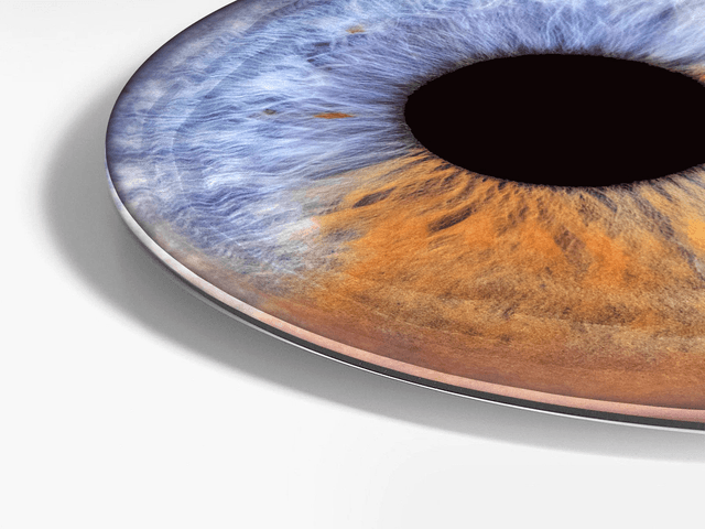 Verre acrylique rond
