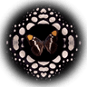 store_logo