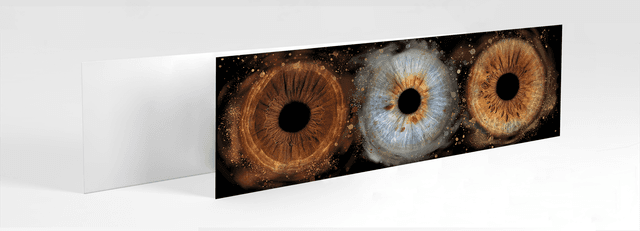 Photo contrecollée sur PVC panorama 20X60cm